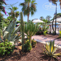 фото из отзыва ID 2728660