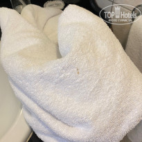 фото из отзыва ID 2728663