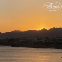 фото из отзыва ID 2728663