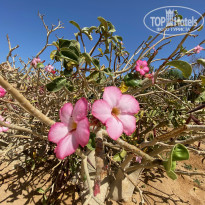 фото из отзыва ID 2728663