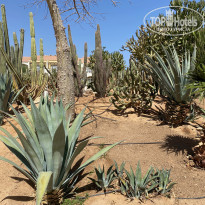 фото из отзыва ID 2728663