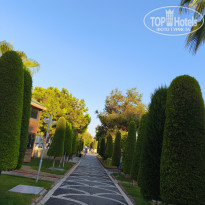 фото из отзыва ID 2728672