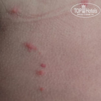 фото из отзыва ID 2728725