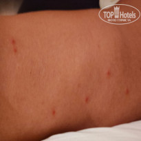 фото из отзыва ID 2728725