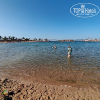 фото из отзыва ID 2728741