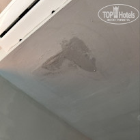 фото из отзыва ID 2728757