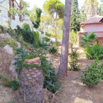 фото из отзыва ID 2728767