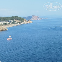 фото из отзыва ID 2728767