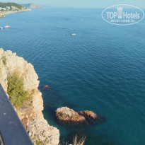 фото из отзыва ID 2728767