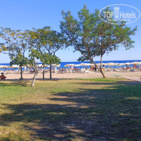 фото из отзыва ID 2728768