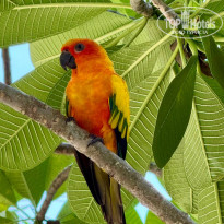 фото из отзыва ID 2728420