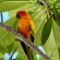 фото из отзыва ID 2728420