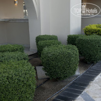 фото из отзыва ID 2728793