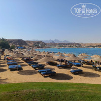 фото из отзыва ID 2728819