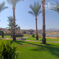 фото из отзыва ID 2728819