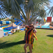 фото из отзыва ID 2728819