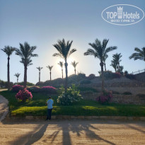 фото из отзыва ID 2728819