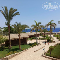 фото из отзыва ID 2728819