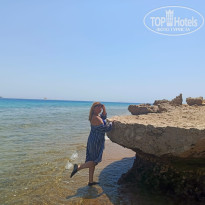 фото из отзыва ID 2728819