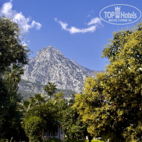 фото из отзыва ID 2728845