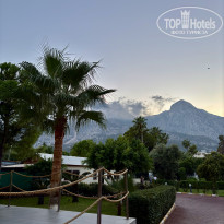 фото из отзыва ID 2728845