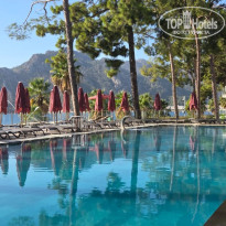 фото из отзыва ID 2728879