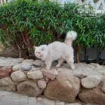 фото из отзыва ID 2728828