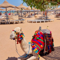 фото из отзыва ID 2728891