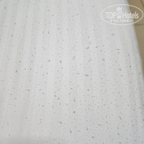 фото из отзыва ID 2728893