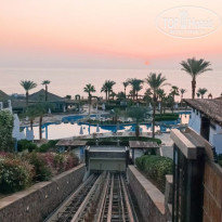 фото из отзыва ID 2728881