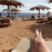 фото из отзыва ID 2728881