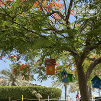 фото из отзыва ID 2728890