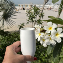 фото из отзыва ID 2728890