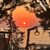 фото из отзыва ID 2728899