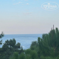 фото из отзыва ID 2728899