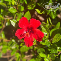 фото из отзыва ID 2728899