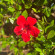 фото из отзыва ID 2728899