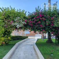 фото из отзыва ID 2728902