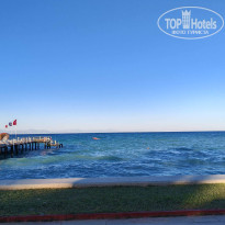 фото из отзыва ID 2728902