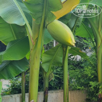 фото из отзыва ID 2728898