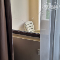 фото из отзыва ID 2728898