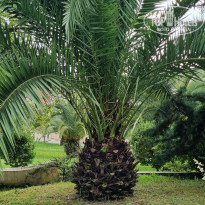 фото из отзыва ID 2728898