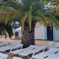 фото из отзыва ID 2728898