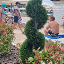 фото из отзыва ID 2728898