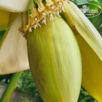 фото из отзыва ID 2728898