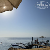 фото из отзыва ID 2728911