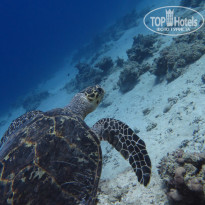 фото из отзыва ID 2728911