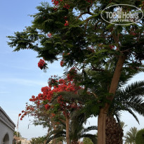 фото из отзыва ID 2728911