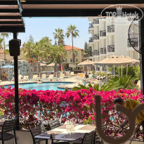 фото из отзыва ID 2728906