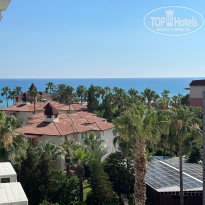 фото из отзыва ID 2728906